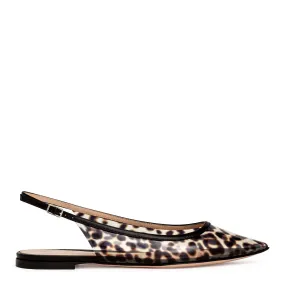 Jen leopard plexi ballerina